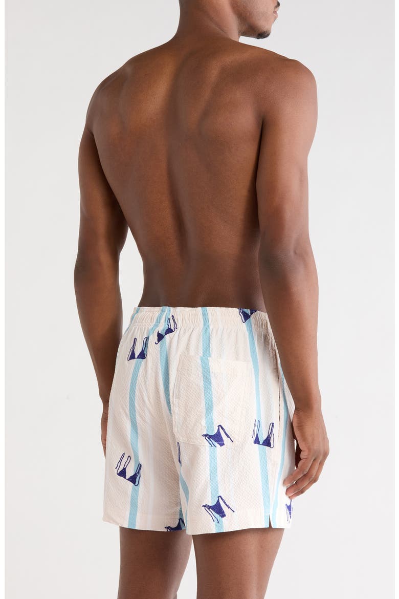 Bikini Embroidered Stripe Swim Trunks, Alternate, color, GREEN/ WHITE