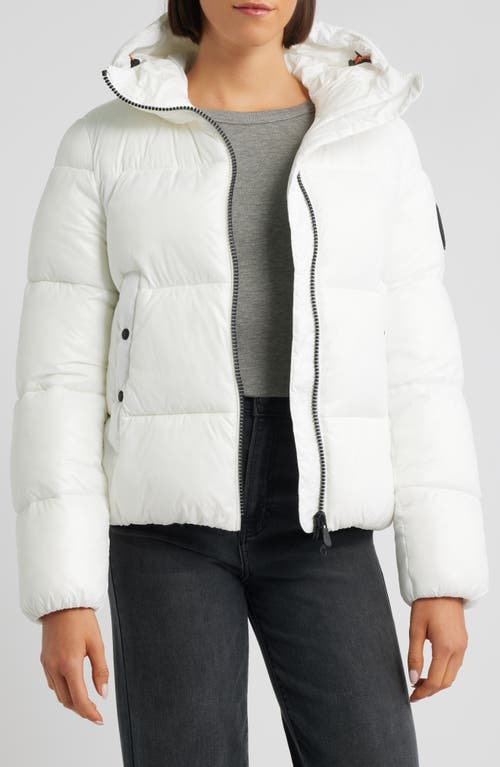 Save The Duck Biddy Water Repellent Hooded Puffer Jacket In White