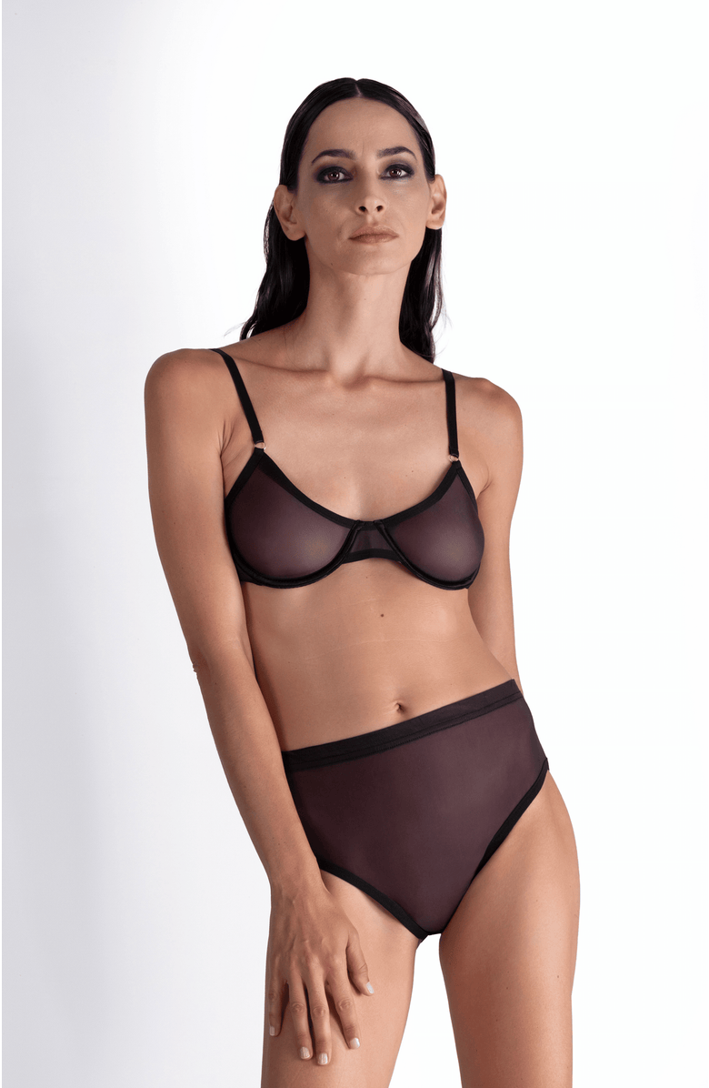 LECHERY<sup>®</sup> Lustrous Sheer Plunge Underwire Bra, Alternate, color, Black