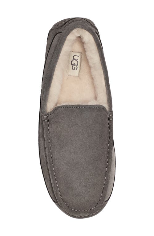 Ugg(r) Ascot Slipper