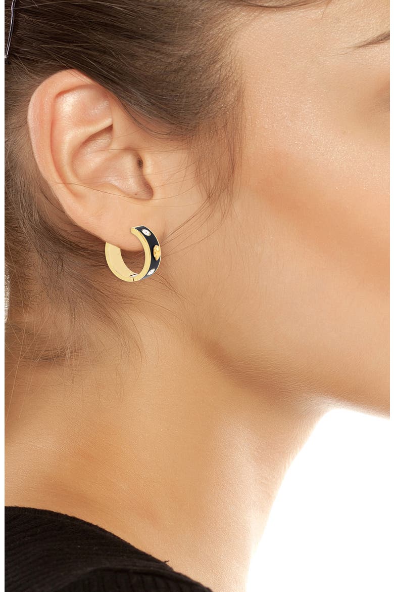 Eagle Enamel Huggie Hoop Earrings, Alternate, color, BLACK