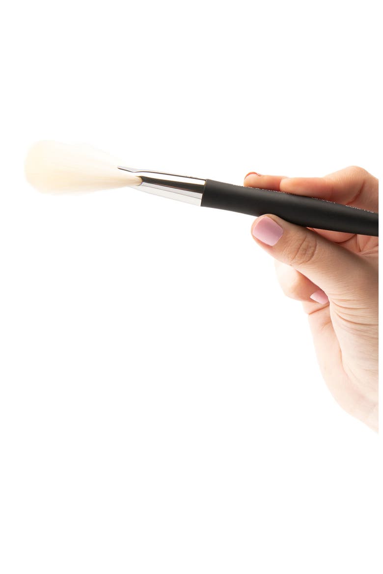 Pro Large Fan Makeup Brush, Alternate, color, Black
