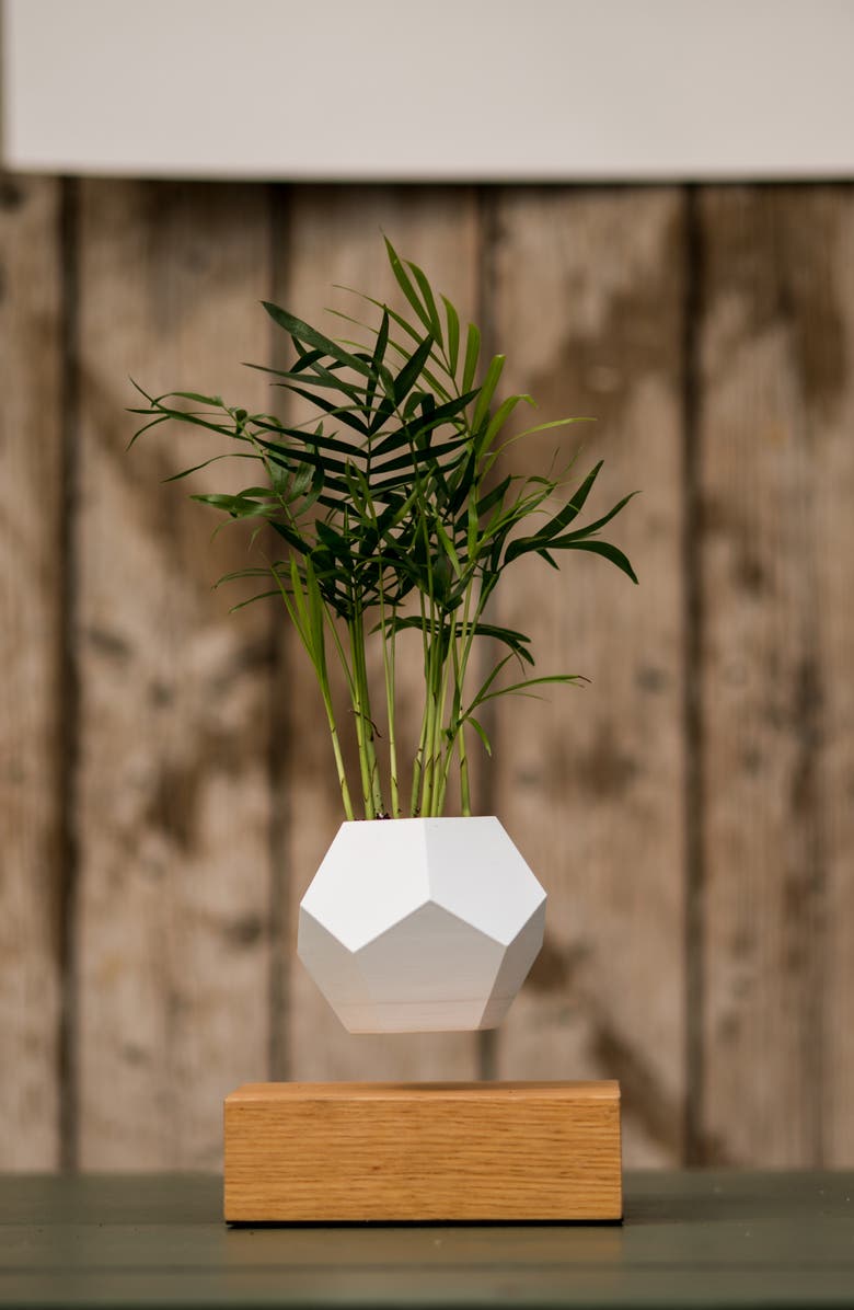 FLYTE Lyfe Levitating Planter, Alternate, color, 