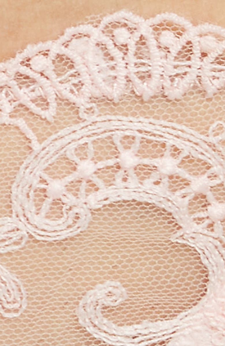 Bluebella Marseille Embroidered Briefs, Alternate, color, 