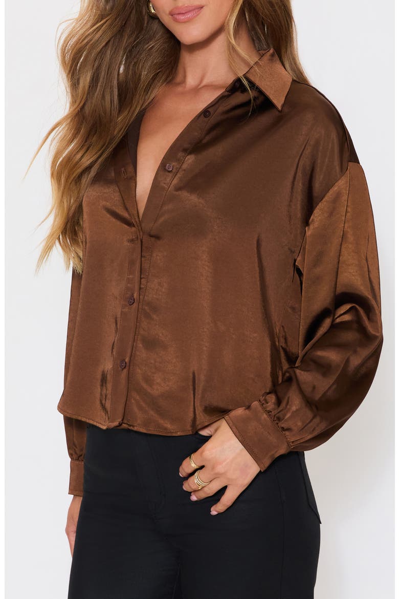 Chestnut Satin Button-Up Shirt, Alternate, color, DARK BROWN