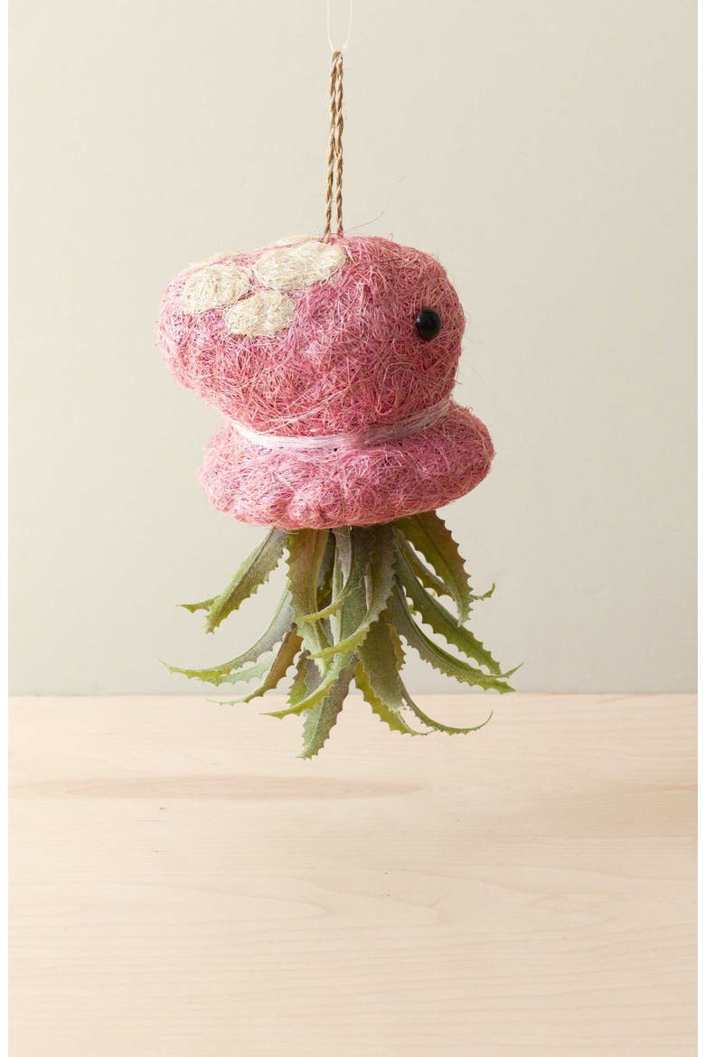 Coco Coir Hanging Planter for Air Plants, Alternate, color, Pink