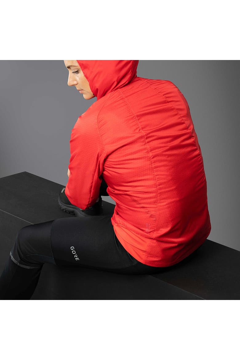 R5 Gtx Infinium Pant - Women's, Alternate, color, Black