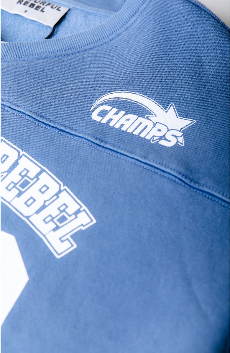 Colourful Rebel CR 33 Washed Baseball Sweat, Alternate, color, Blue