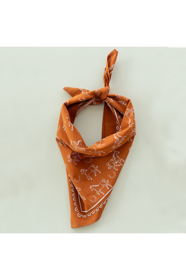 Yeehaw Bandanas, Alternate, color, Horse