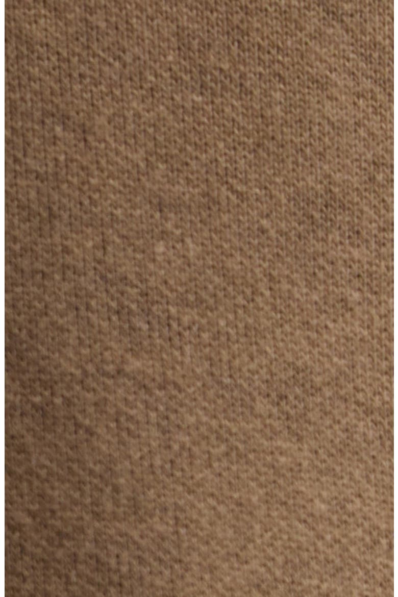 Sponge Sweat Hoodie, Alternate, color, BROWN