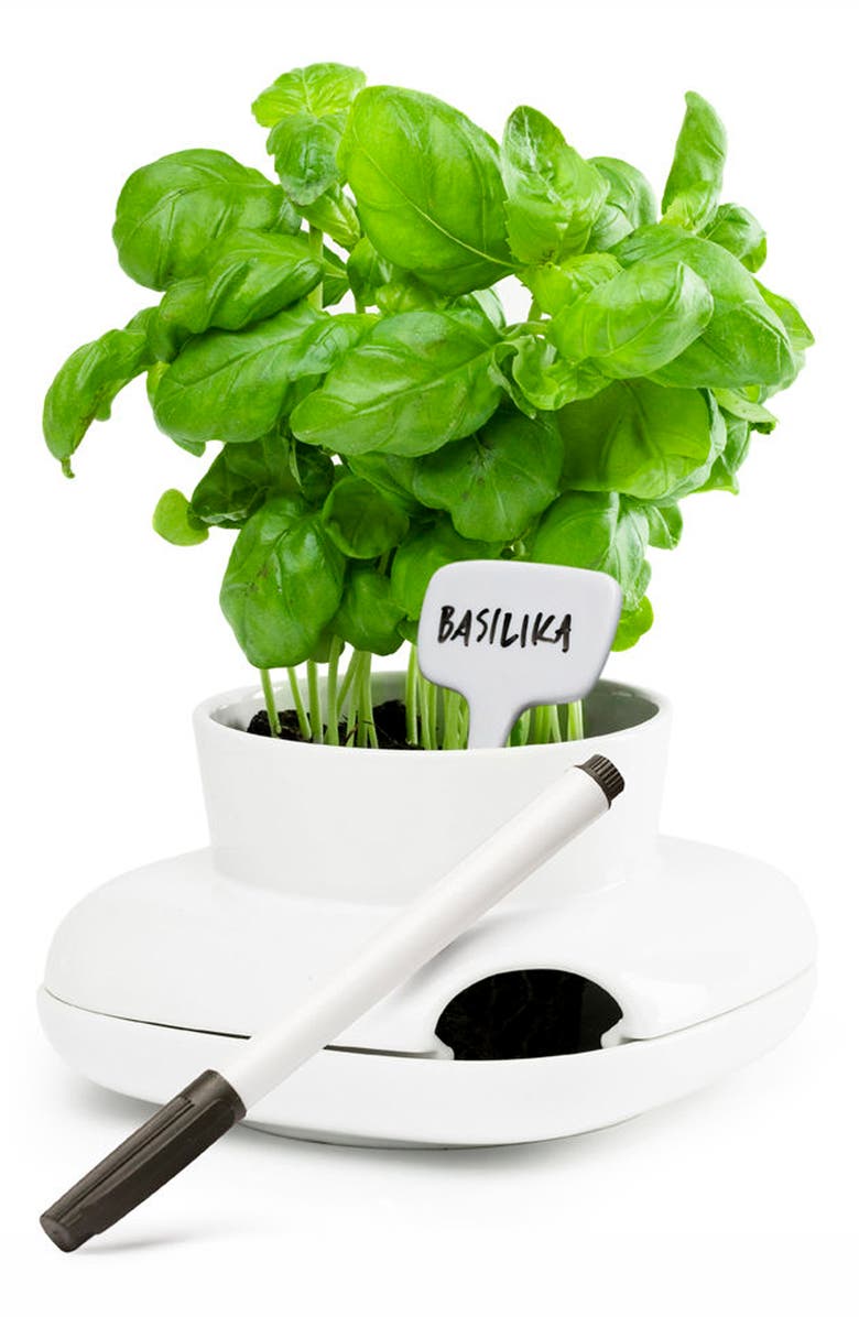 Sagaform Small Herb Pot, Alternate, color, 