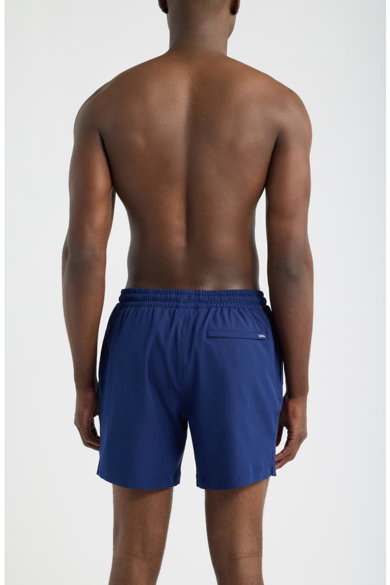 The Out of the Blues 5.5-Inch Swim Trunks, Alternate, color, NAVY
