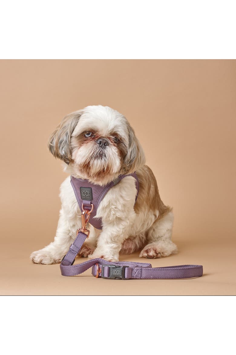 3-in-1 City Dog Leash, Alternate, color, Lilac Gray - Small