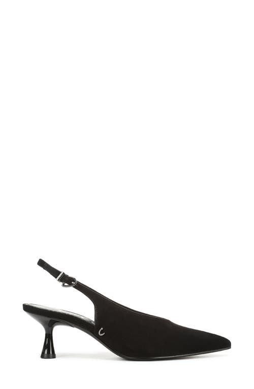 Circus Ny By Sam Edelman Fawn Pointed Toe Slingback Pump In Black