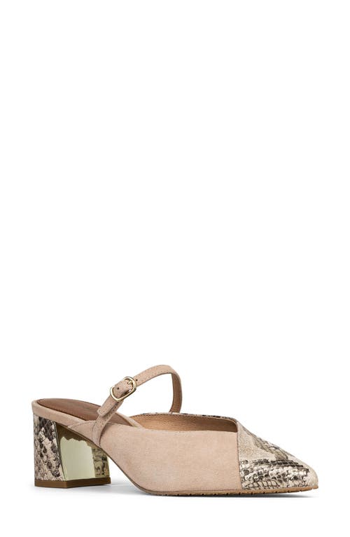 Donald Pliner Pointed Toe Mule in Sand 