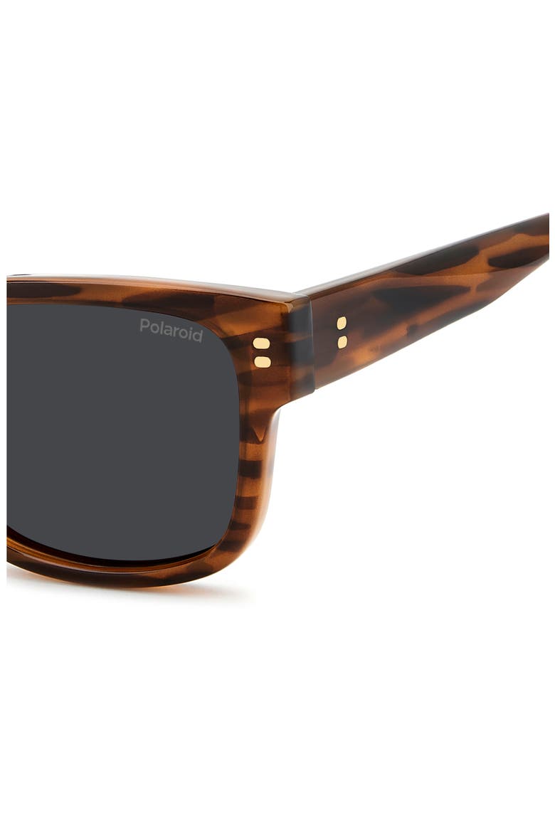 55mm Polarized Square Sunglasses, Alternate, color, HAVANA ORANGE/ GREY PZ