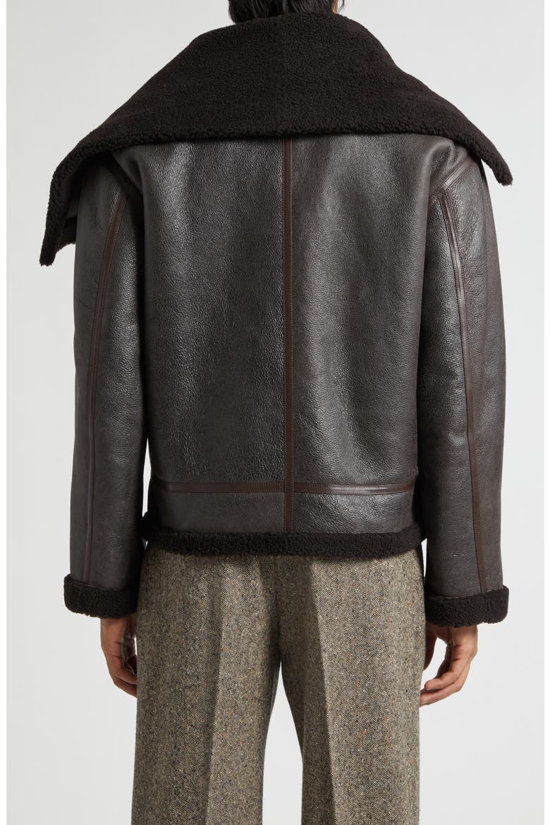 Belted Lambskin & Genuine Shearling Aviator Jacket, Alternate, color, CHOCOLATE BROWN/ BROWN