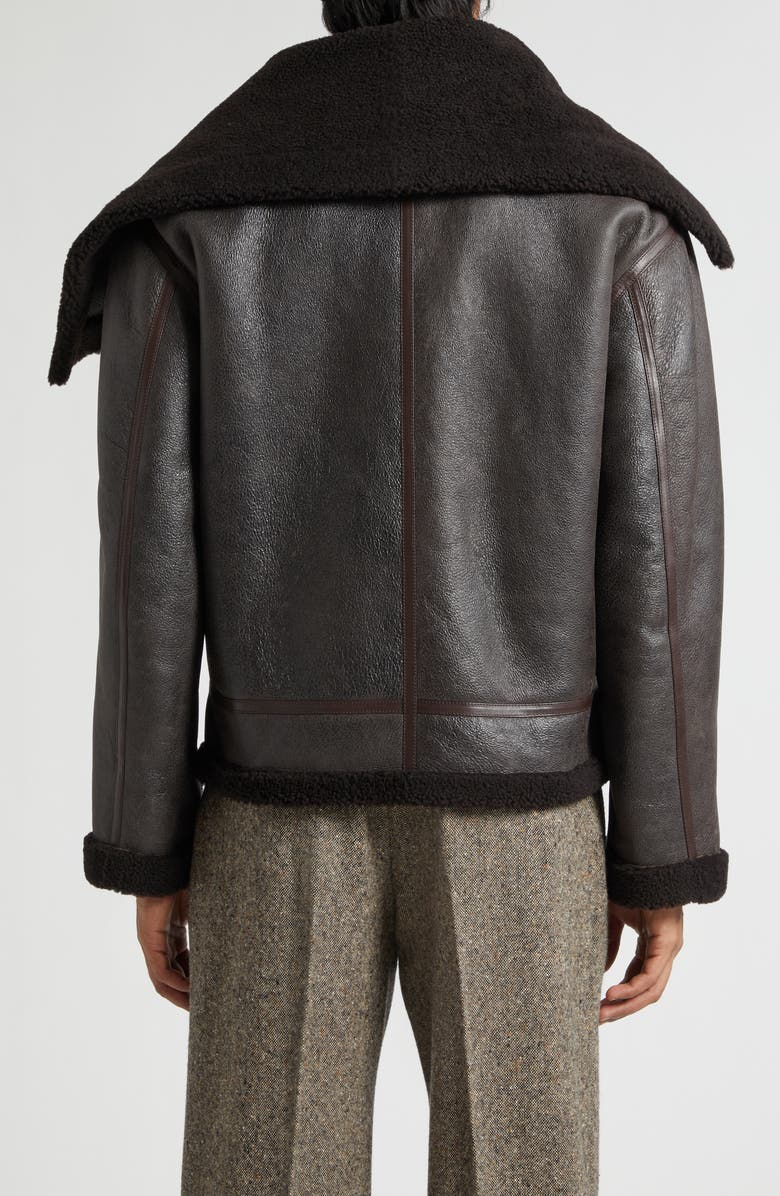 JW Anderson Belted Lambskin & Genuine Shearling Aviator Jacket, Alternate, color, Chocolate Brown/ Brown