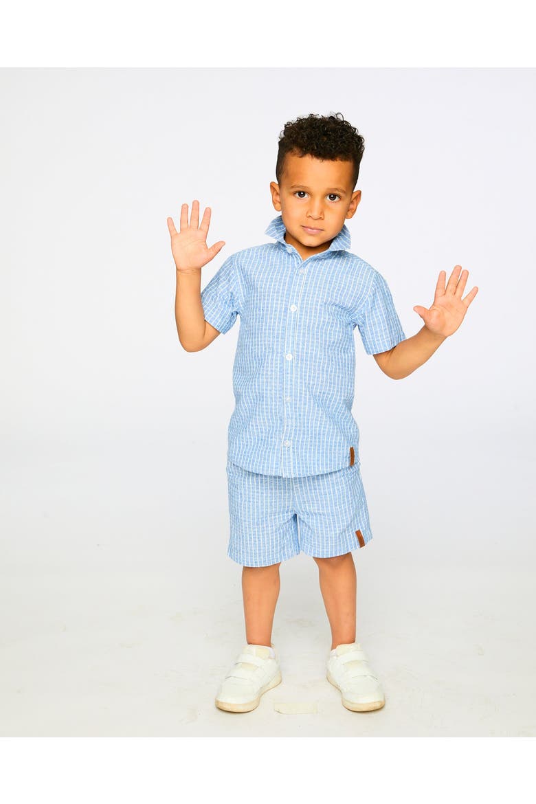 Chambray Denim Stripes Short-Sleeve Shirt, Alternate, color, Blue Denim Stripes