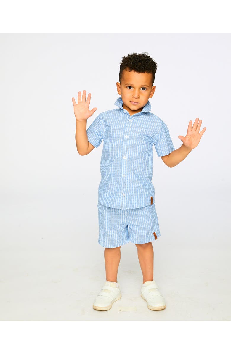 Deux par Deux Denim Stripes Chambray Shorts, Alternate, color, Blue Denim Stripes