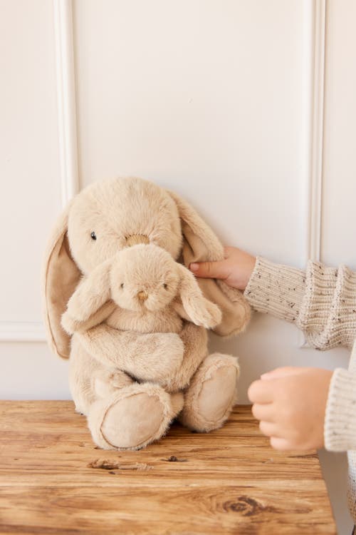 Snuggle Bunnies Stuffed Animal Frankie The Hugging Bunny In Brown
