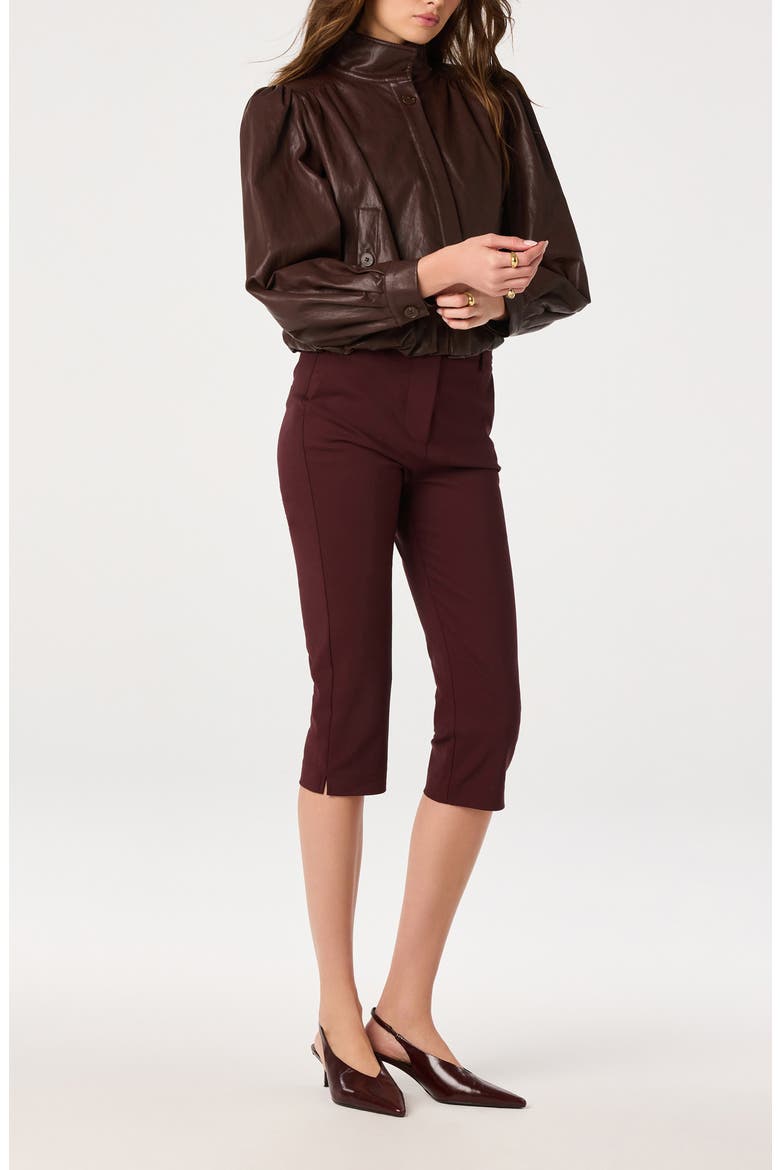 Cardin Capril Pants, Alternate, color, WINE