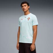 PUMA Men's Puma Mint Portugal National Team AOP FtblCulture T-Shirt