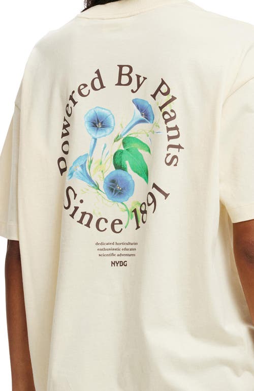 Cotton On The Lcn Boxy Graphic Tee In Lcn Nybg We Are Plant People