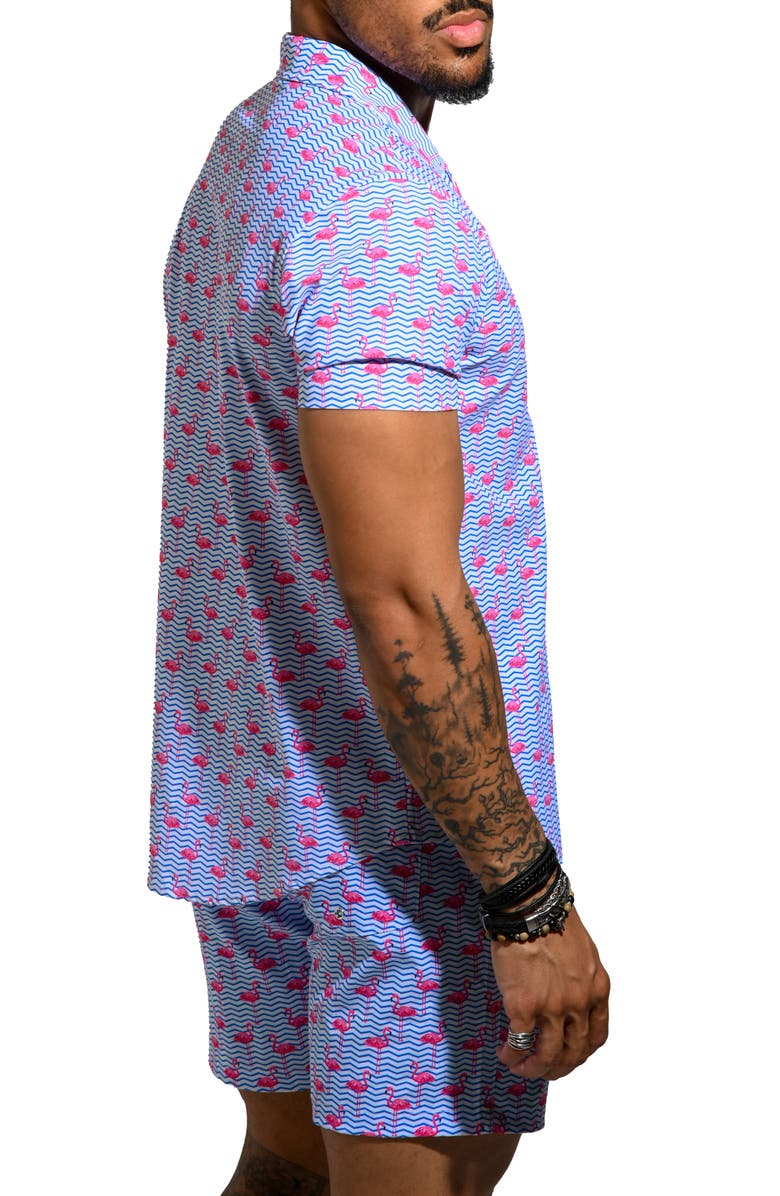 Maceoo Beachflamingo Blue Cotton Camp Shirt, Alternate, color, Blue