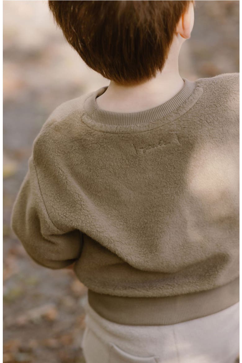 Organic Cotton Teddy Fleece Sweatshirt, Alternate, color, MOSS