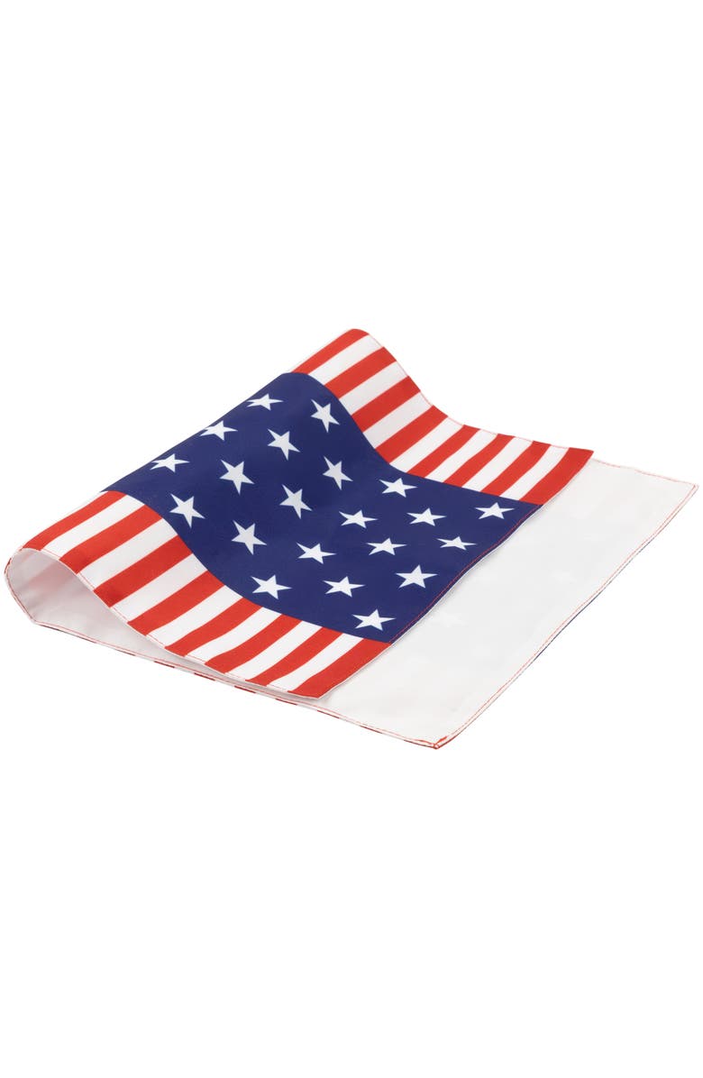 Northlight Set of 4 Stars and Stripes Americana Printed Placemats 18", Alternate, color, 