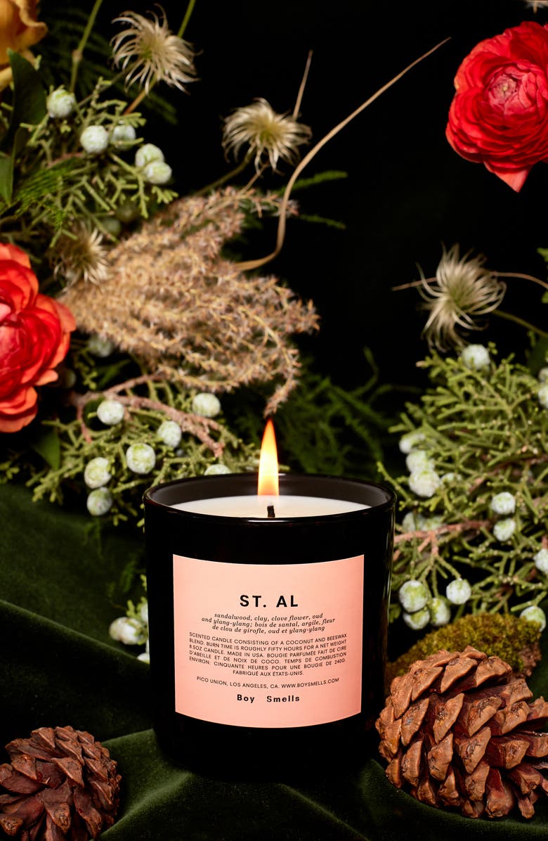 Boy Smells St. Al Scented Candle, Alternate, color, 