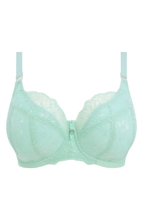 Elomi Brianna Underwire Padded Half Cup Bra In Frozen