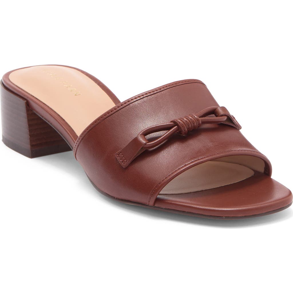 Cole Haan Cailyn Bow Slide Sandal In Brown