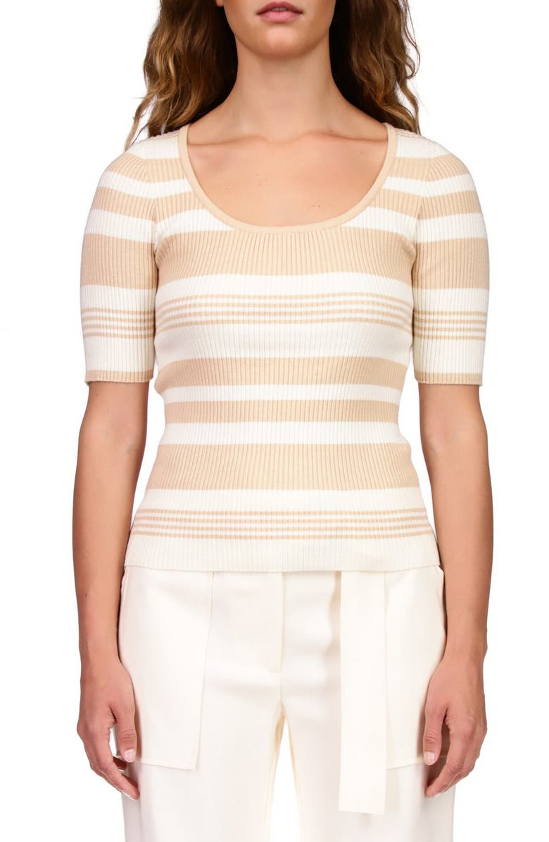 Sanctuary Stripe Rib Top, Main, color,