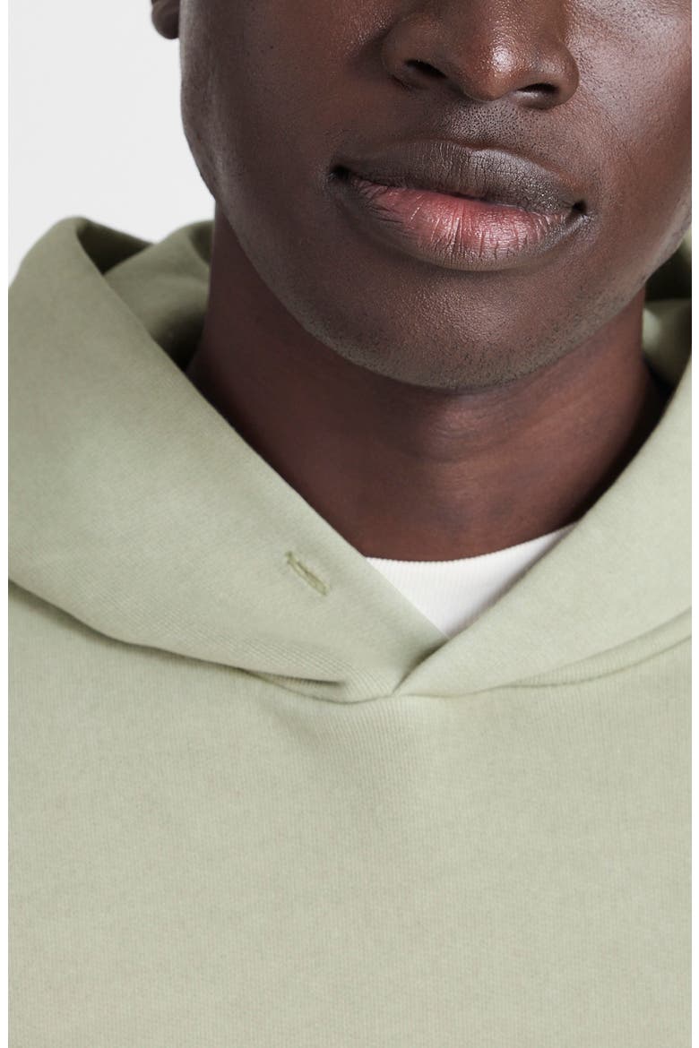 Woodland Brushed Terry Hoodie, Alternate, color, DUSTY SAGE