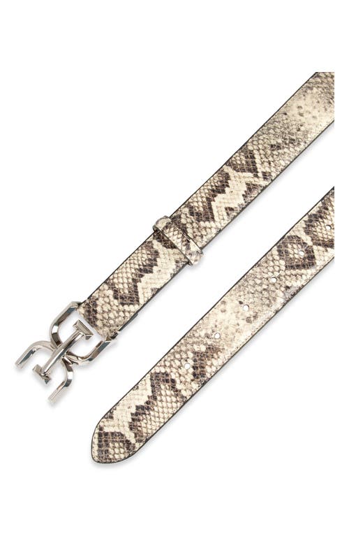 Shop Sam Edelman Logo Buckle Belt In Grey Snake