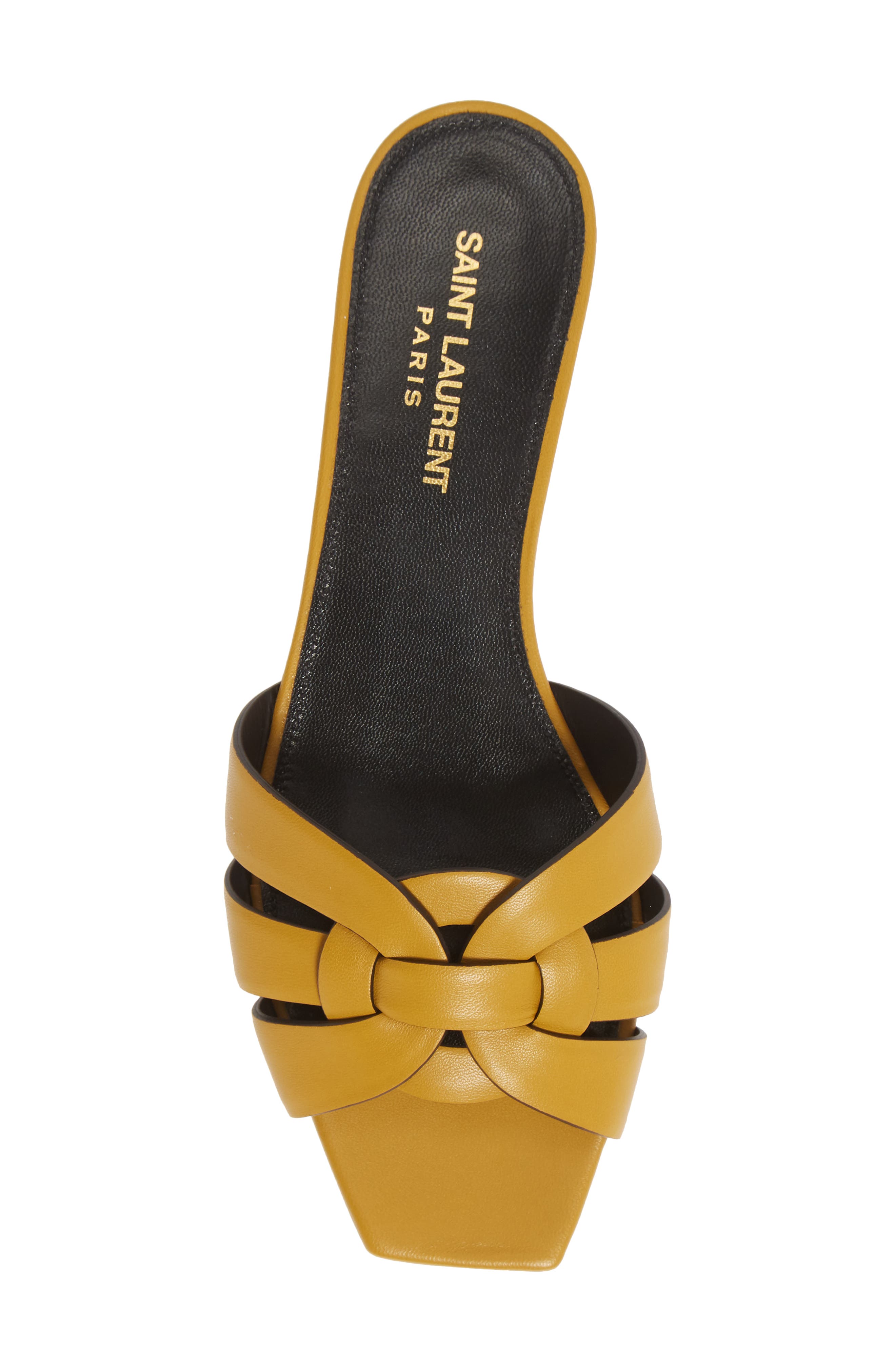 Saint Laurent Nu Pieds Slide Sandal, Alternate, color, 