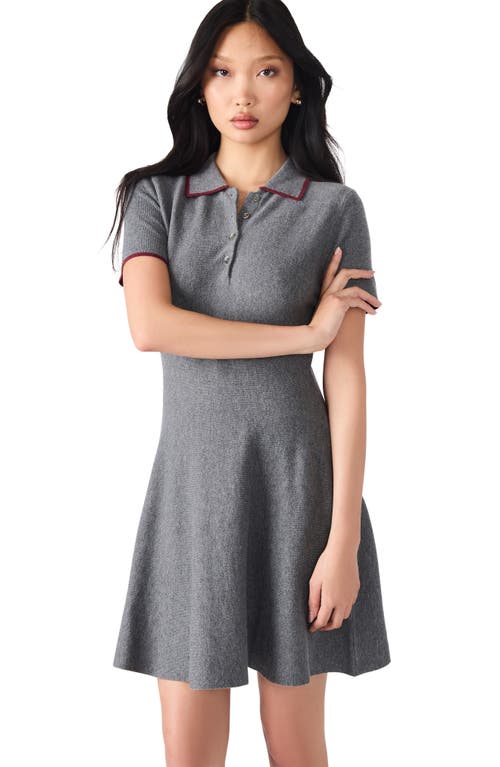 Steve Madden Kristin Polo Sweater Dress In Gray