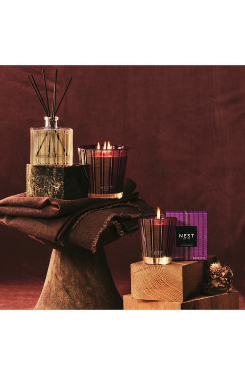 Nest New York Atumn Plum Reed Diffuser In Transparent