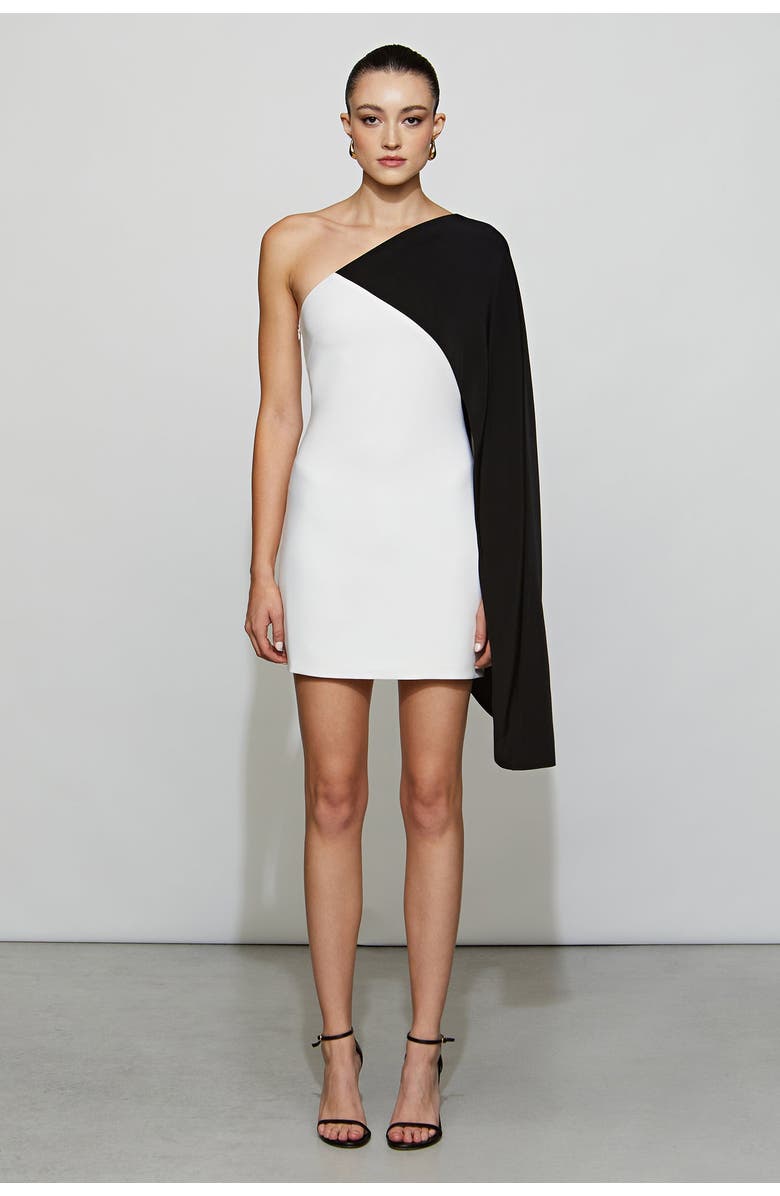Et Ochs Erica Dress, Main, color, Black/Ivory