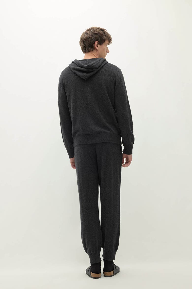 Kayden Zip-Up Hoodie, Alternate, color, Charcoal