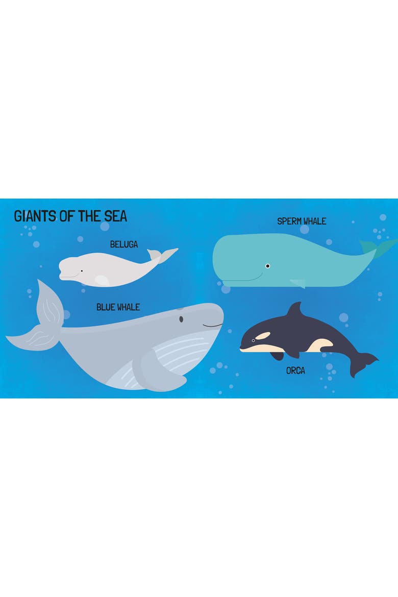Q Box The Sea Read Play Learn Underwater 40 Piece Set, Alternate, color, Multicolored