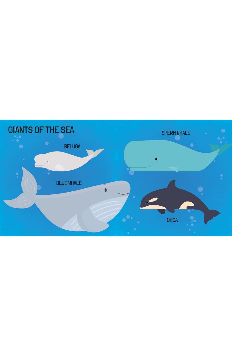 Sassi Q Box The Sea Read Play Learn Underwater 40 Piece Set, Alternate, color, Multicolored