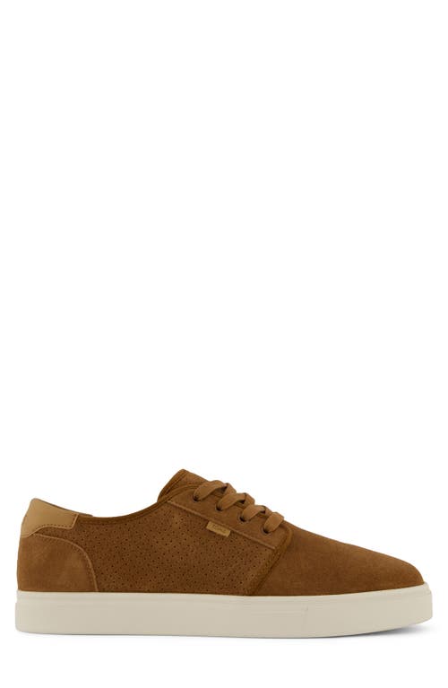 Toms Carlo 2.0 Perforated Sneaker In Multi