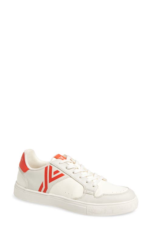 Yy Nation Stratus Cactus Sneaker In Multi