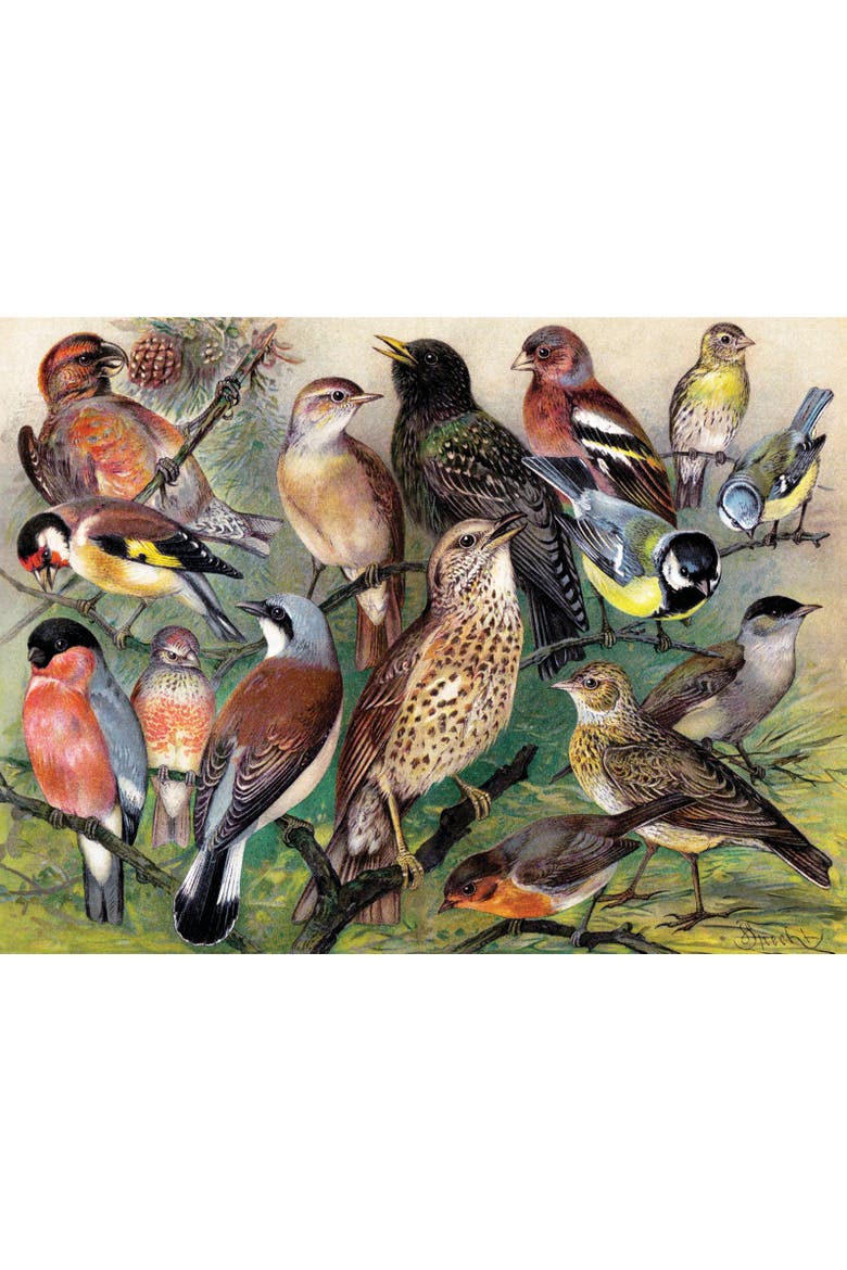 Songbirds 1000 Piece Puzzle, Alternate, color, No Color