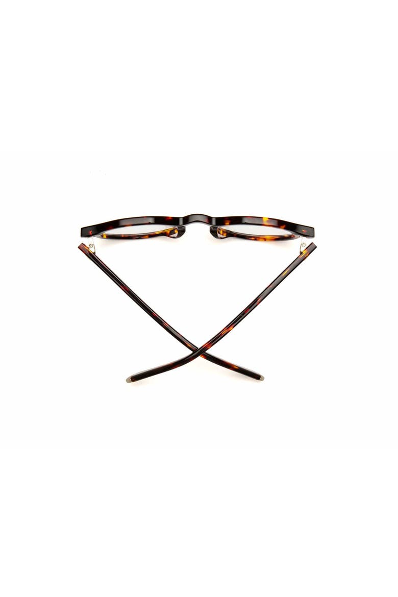 Dogleg | Reading Glasses, Alternate, color, Turtle