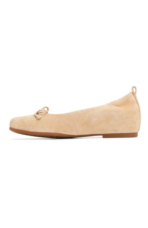 Abeo Cadence Bow Ballet Flat In Cuban Sand Suede - Metatarsal