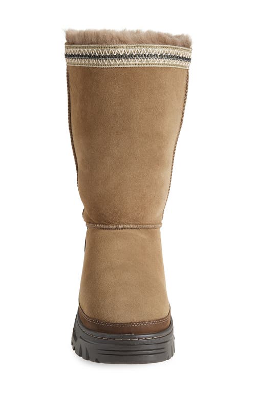 Ugg ® Classic Tall Trailgazer Boot In Brown